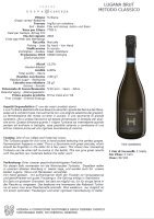 Hirundo Lugana DOC Methodo Classico Brut Millesimato...