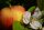Apfel Balsam Essig mit Apfelblüte