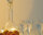 Marillen Spirituose, 40% vol. 250 ml