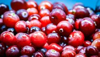 Crema Balsamica Cranberry Essig